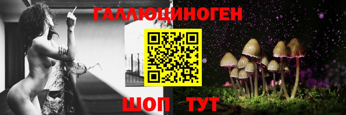 Галлюциногенные грибы Psilocybe Казань